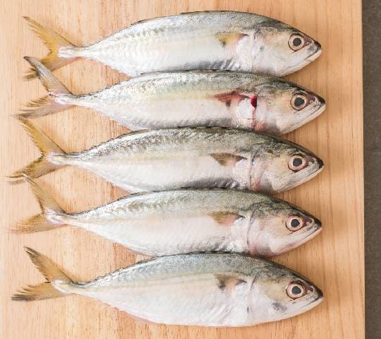 Short Mackerel (200g)