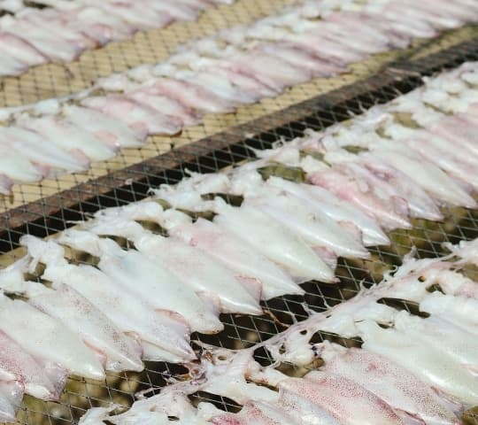 Sun-Dried Egg Squid (300g)