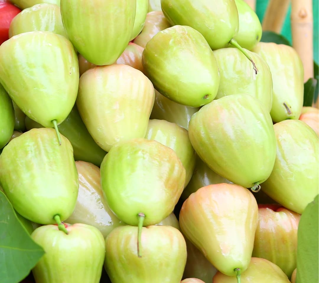ชมพู่เพชรอินทรีย์ (400-500กรัม)