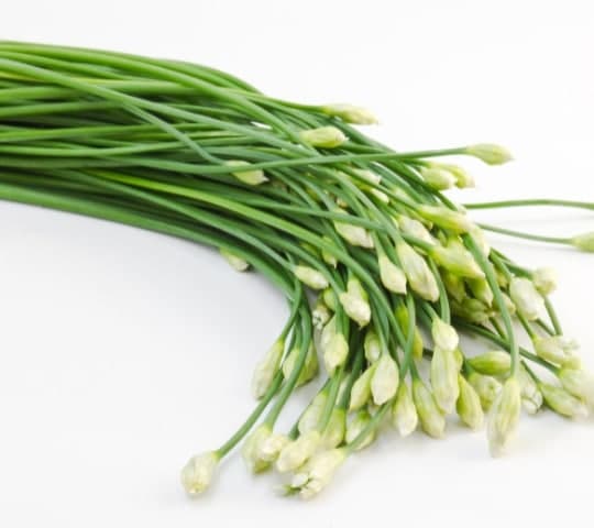 Flowering Chive (150g)