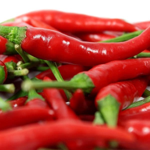 Spur Red Chili Pepper (100g)