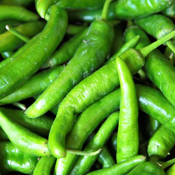 Spur Green Chili Pepper (100g)