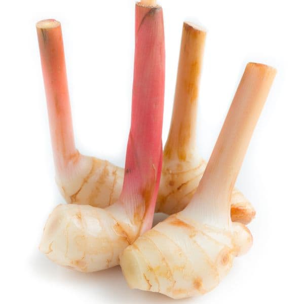 Galengal (150g)
