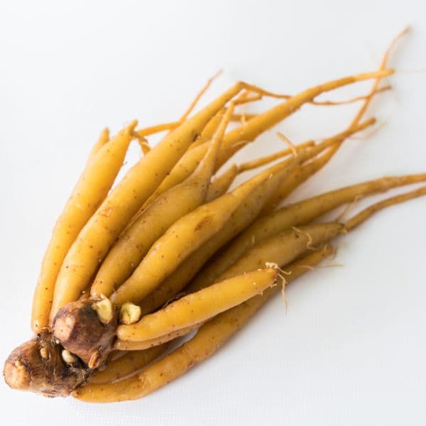 Fingerroot (150g)